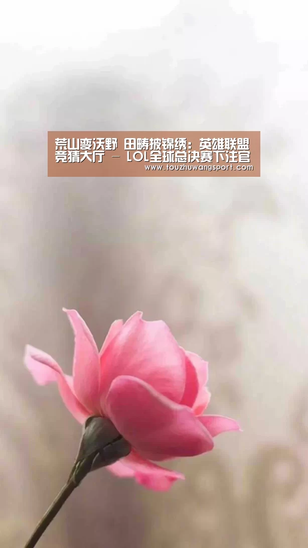 英雄联盟竞猜大厅 - LOL全球总决赛下注官方网站下载